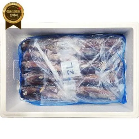 원양산 선동오징어 20kg 10kg (포클랜드) 냉동/ 통오징어 /업소용 오징어 [원산지:원양산(대서양)], 선택8.아르헨티나산 M사이즈(중) 11kg, 11kg, 1개