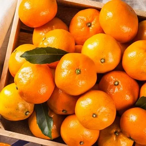 제주직송 달콤한 카라향 당일수확 혼합과 못난이 10kg 5kg 3kg 2kg, 1박스, 못난이10kg