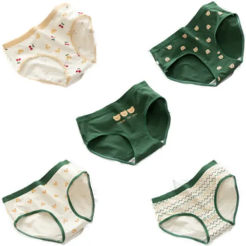 아라펠 면팬티 5장세트 소녀감성 10가지 디자인 <arafel>