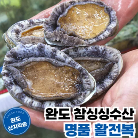[완도참싱싱수산] 산지직송 당일채취 산소포장 명품 활 전복, 1개, 500g (대 6~7미)