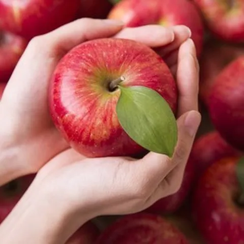 맛있는 주스용 빨간 부사 사과 13kg 랜덤과