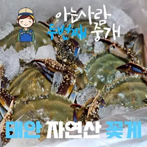 [아는사람수산 산지직송] (특대) 꽃게 자연산 꽃게 활꽃게 숫꽃게 생물 1kg 3-5미 태안 얼음포장 당일조업 당일발송, 1개
