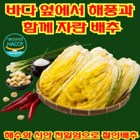 땅끝애 해남 절임배추 해풍과 함께 자란 해남배추 해수와 천일염으로 절인배추 예약 11월11일부터 출고, 1박스, 20kg