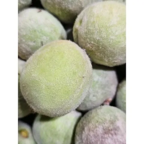 [청담상회] 1% 프리미엄 개복숭아 햇돌복숭아, 1박스, 10kg