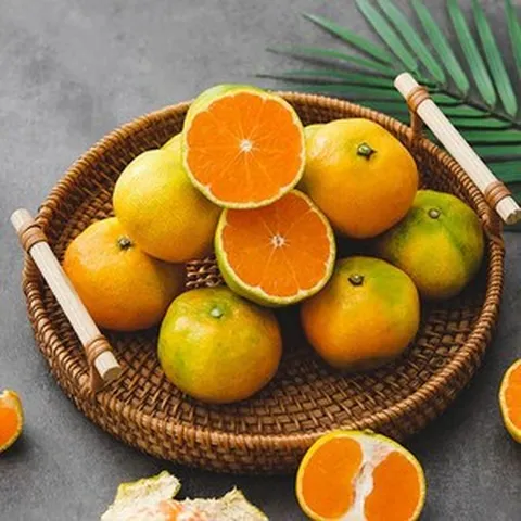 [자연맛남] 제주직송 햇 감귤 4.5kg 로열소과 (2S-M/실중량), 단일옵션