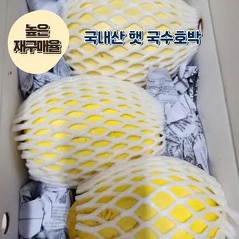 [재구매율 높음] 국내산 국수호박 스파게티스쿼시 밀가루대체면 다이어트 채소, 1박스, 6kg(6개이내)