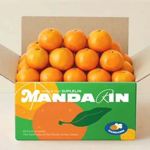 [수플린] 고당도 제주 하우스 감귤 2.5kg (로얄과/12Brix이상), 1개