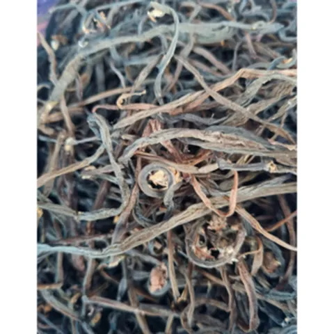 [국내산] 농장직송 자연산 햇고비나물 건고비나물, 1개, 600g