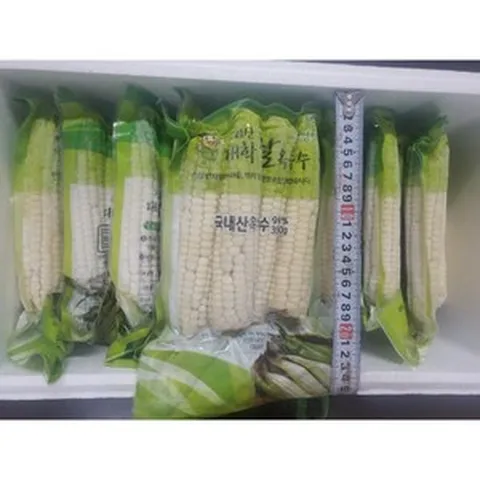 삶은 찐 냉동 괴산 대학찰 옥수수 실속형 20개 40개, 삶은 냉동 찰옥수수 실속형20개