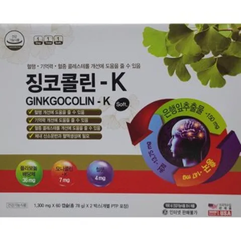 [비타민라이프] 징코콜린-K (1 300mg x 60캡슐 x 2박스 총120캡슐) 혈행 기억력 콜레스트롤 개선_은행추출물 철분 홍국 오메가 함유, 1개, 120정