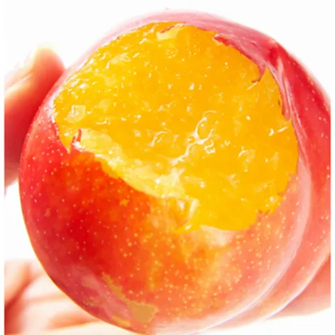 [자두의왕] 해피썸머 왕자두 피자두 체리자두, 1박스, 1kg(대과)