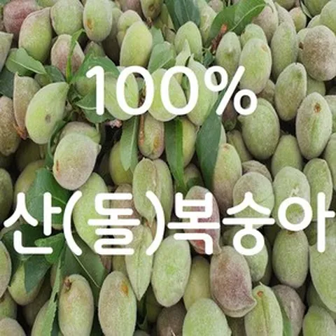 토종 돌복숭아 개복숭아, 10kg, 1개