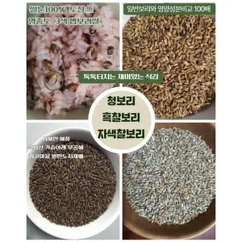 [놀부네곶간] 영종도 국산보리 삼색보리 검정찰보리쌀.청 보리쌀.자색 보리쌀, 1개, 5kg, 청보리