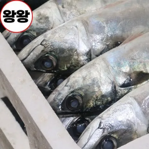 [동아푸드] 국산 고등어 왕왕특대 2kg 4마리, 1박스