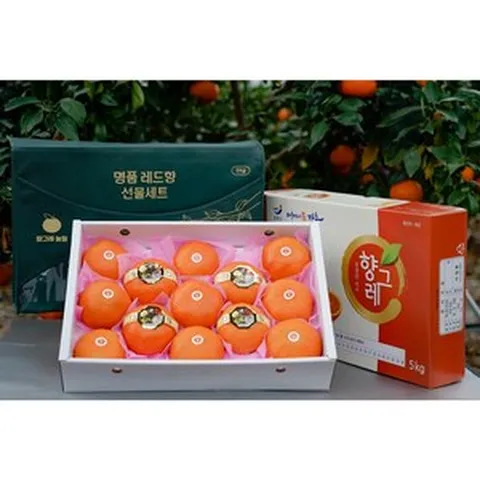 [향그레농원] 산지직송 고당도 프리미엄 레드향 선물용 3kg 5kg 가정용 당일수확, 대(6~13과), 1박스, 3kg(선물용)