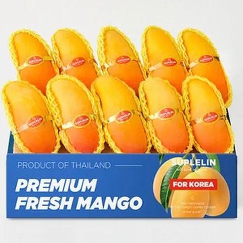 수플린 [수플린] 알록달록 고당도 마하차녹망고 총 4kg 이상 (로얄과/8-14입), 1개