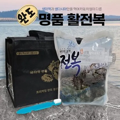[명절선물세트]완도 명품 활전복 특대 특특대 1KG 2KG 선물포장(손질도구증정) 산소포장(100%활전복) 귀한선물, 1세트, 1kg(특대1호:10~11미)