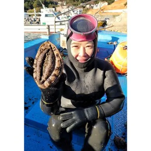 전복 자연산전복 거제도해녀가 채취한 자연산 전복 대/특대/특특대 1kg, 1kg 7~8미, 1개