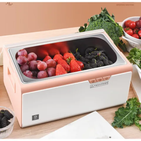 초음파 과일 야채 세척기 가정용 육류해산물 살균소독, 그레이/4L