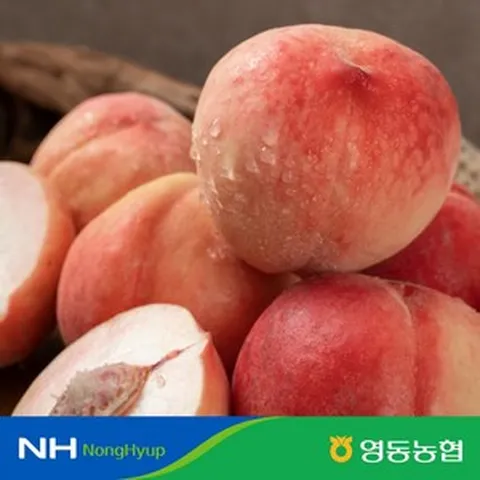 [영동농협] 영동 복숭아 2.5kg (1.25kg*2팩 팩당 4~5구), 1박스