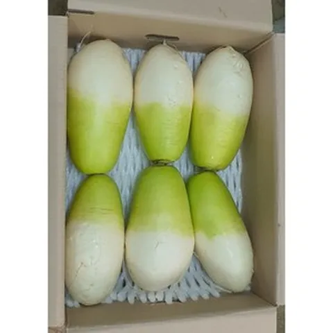 알뜰농장 제주도 월동무 싱건지.김치용 세척 햇무 4~5수(4~5kg내외) /7~8수(6~8kg), 1개, 월동무 세척  햇 무우 4~5수(4~5kg내외)