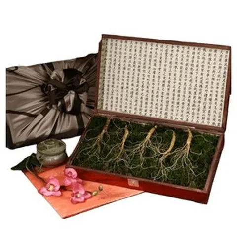 (설날 선물) 삼모아농장 [1월 24일 오전05시 주문건까지 명절전출고] 삼모아 장뇌산삼(산양산삼) 8년근 5뿌리(효도선물세트)/고가구케이스+실크보자기포장 1315246, (설날 선물) 삼모아농장 [1월 24일 오전05시 주문