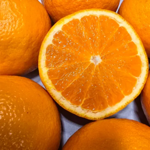 제주 카라향 당도보장 농장직송 전국농가자랑, 1박스, 중과 1KG