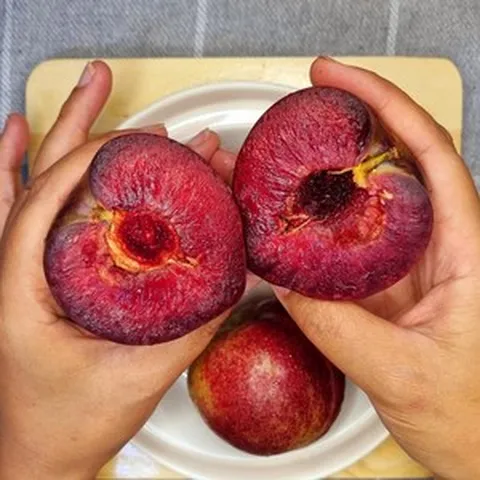 제철자두 대석자두 후무사 피자두 도담 나디아체리 추희자두 왕자두, 1개, 1kg