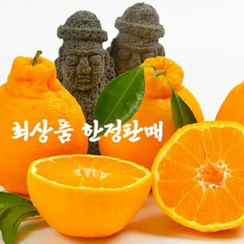 제주 한라봉 1%꿀달콤 극상품 한정판매, 1개, 선물용 5kg (대과)