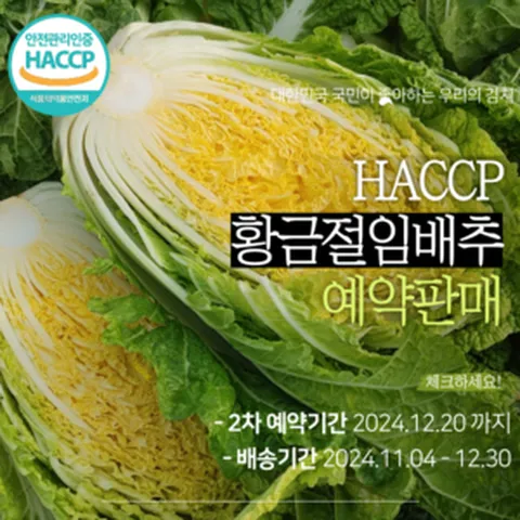 HACCP인증 해남 황금배추 국내유일 라이코펜 함유 황금절임배추, 1개, 20kg