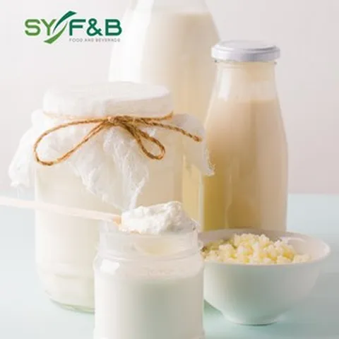 티벳버섯 종균 케피어 Kefir 20g, 1개