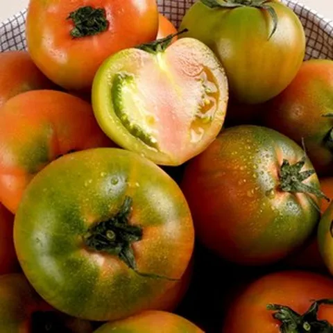 [농가신선] 당일수확 부산 대저토마토 특품, 1박스, 2.5kg ( 로얄과 S )