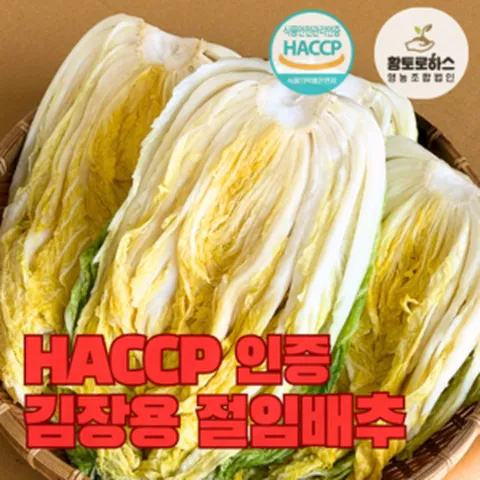 [황토로하스] 'HACCP' 인증 해남절임배추 20KG, 12월 05일(목), 1박스
