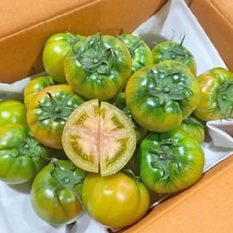 [과일사공]당일발송 프리미엄 짭짤이 대저토마토, 대과(L~3L), 1개, 2.5kg