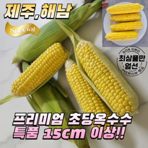 [국내산] 프리미엄 해남 제주 햇 초당옥수수 특품 15cm 이상 10개 20개 아삭아삭 고당도보장 산지직송 당일선별 튼실 단단 알찬 초당옥수수 신성보장 더 맛있게 건강하게