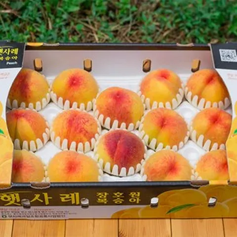 이천 장호원햇사레복숭아 2kg 3kg 감곡 딱딱이 말랑이복숭아 이시도로농원, 1박스, 백도복숭아3kg 8과