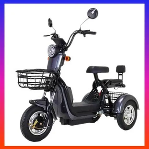 브라늄 전기자전거 세발 삼륜 스쿠터 전동 오토바이 삼발이, 3인승 x 20A리튬배터리-70km, 그레이