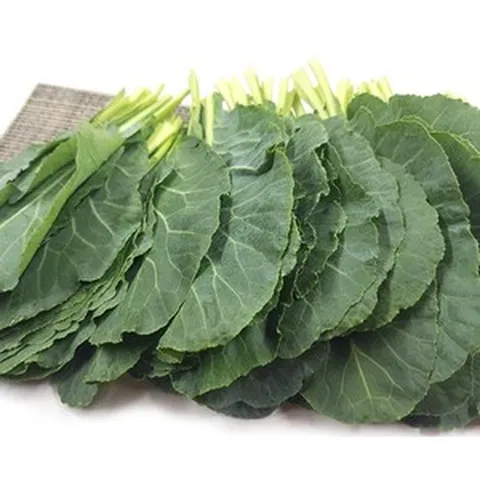 [특급/ 새벽배송(팀프레시) 지역 확인} 싱싱한 쌈 케일 2kg (1.8~2kg) 박스, 1박스