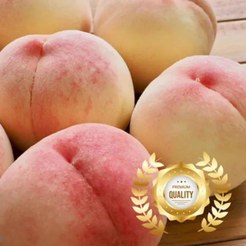 아삭달콤 15brix 유명 대월 딱딱이 복숭아, 1박스, 대과 4kg