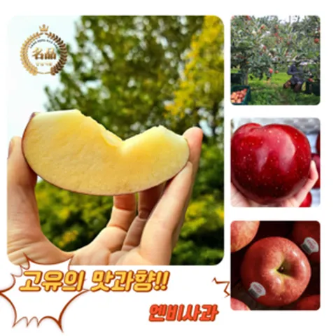 [굿피플] 엔비사과 envy사과 엔비 사과