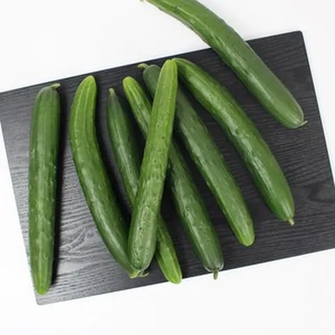 청년농부 김선홍의 국내산 취청오이 청오이 전북정읍, 1개, 3kg