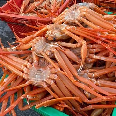 프리미엄 선주직송 홍게 대게 품질보증 영덕 울진 포항 박달홍게 박달대게 산지직송 특대 3kg, 1개, [정품/프리미엄]박달형홍게 3kg (9~11미)