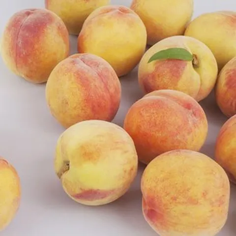 경북 제철 털복숭아 백도 황도 딱딱이 중대과 2kg 11-12과