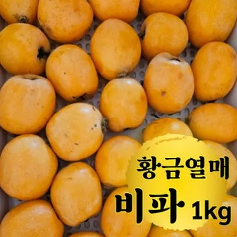 친환경 무농약 새콤달콤 국산 비파열매 1kg 신품종 완도 당일수확 햇 생과 생비파 살구 국내산 노지 담금주 효소 비파나무 열매 과일, 상품1kg(15~17과), 1개