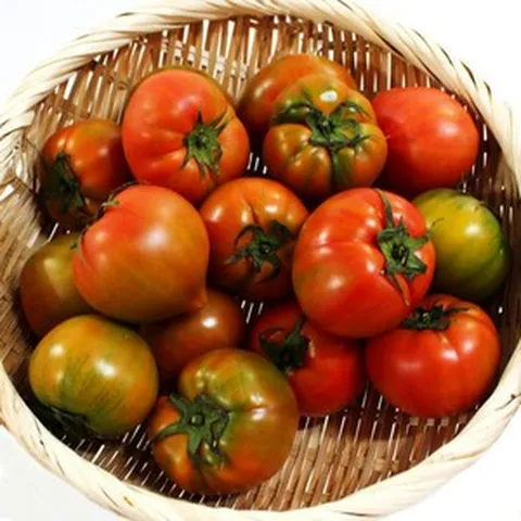 꿈꾸는파머씨 달콤 짭짤 대저 토마토 농협인증, 1박스, 1kg (M~S)