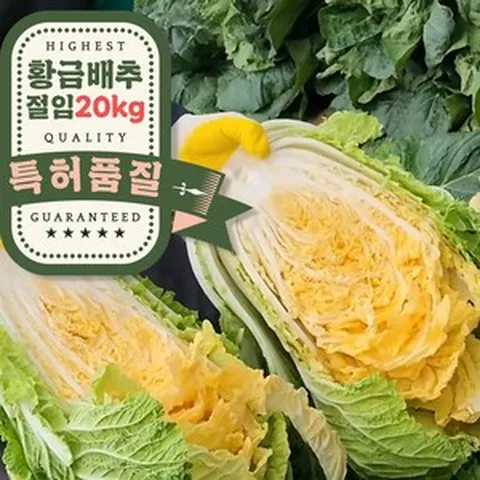오라밀농장 특허받은 해남 황금 절임배추, 1박스, 20kg, [출고희망일 필수입력]