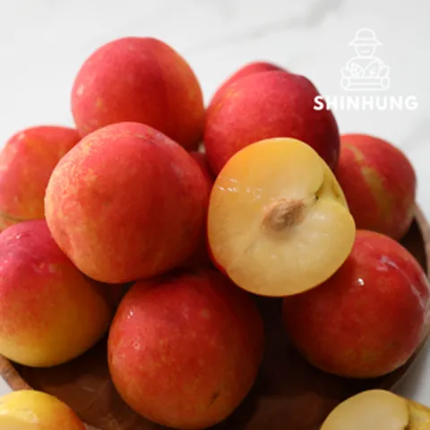 2024 상큼하고 달달한 햇자두 대석 자두 소과 [신흥유통], (소과), 1개, 대석자두 2kg