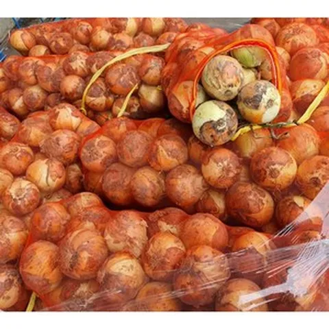 알뜰농장 2024년 국내산 최상품 햇 양파 특품(전남 무안.해남) 3~10kg내외, 1개, 햇양파 특대 5Kg내외