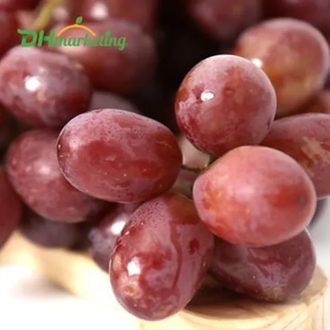 씨없는 적포도 1kg, 1박스