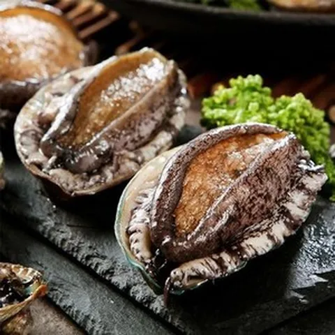 해신수산영어조합법인 [바로배송]해신수산 완도활전복 22-25마리 1kg 한정판매국내산(양식)